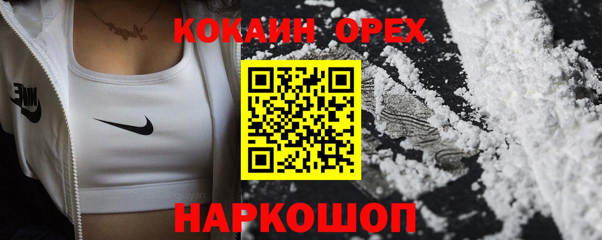 КОКАИН Fish Scale  Cocaine Fish Scale  купить  цена  КОКАИН  Вход с VPN  Ногинск 