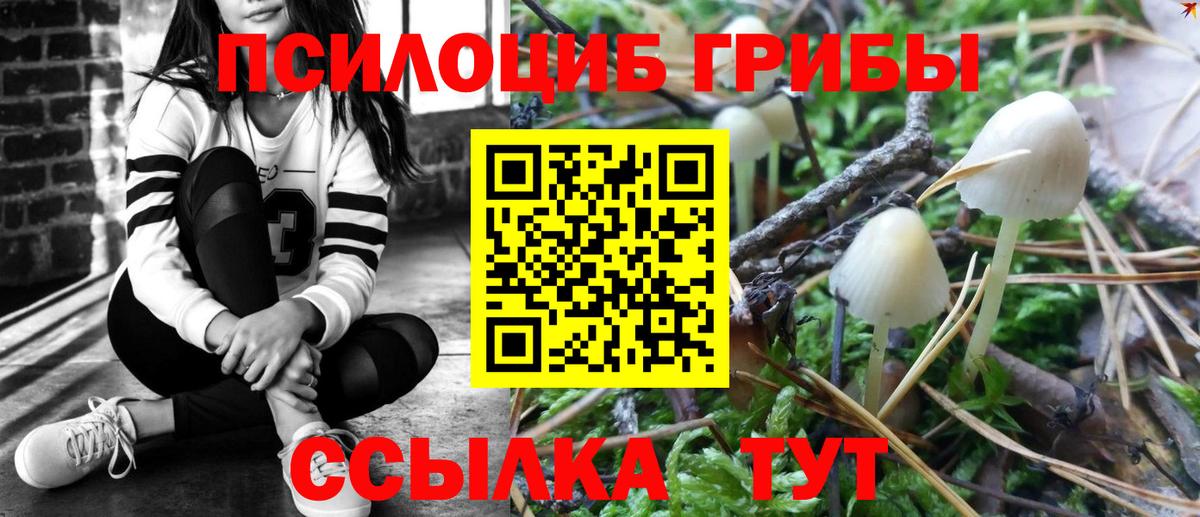 Псилоцибиновые грибы ЛСД Ногинск