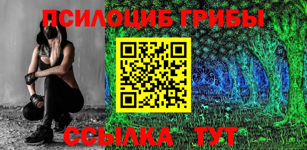Ногинск  Галлюциногенные грибы мицелий  Вход с VPN  Галлюциногенные грибы GOLDEN TEACHER 